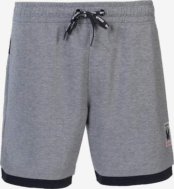 Spyder Regular Workout Pants in Grey: front