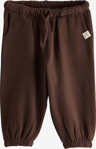 Pantalon Next en marron : devant