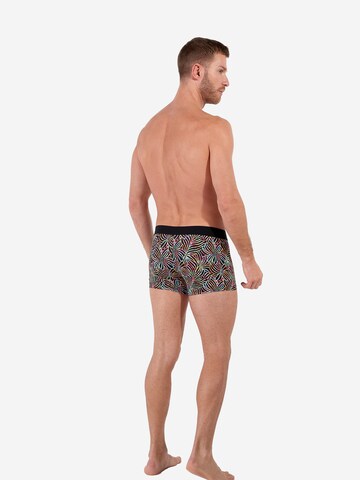 Boxers ' Roald Boxer Briefs ' HOM en mélange de couleurs