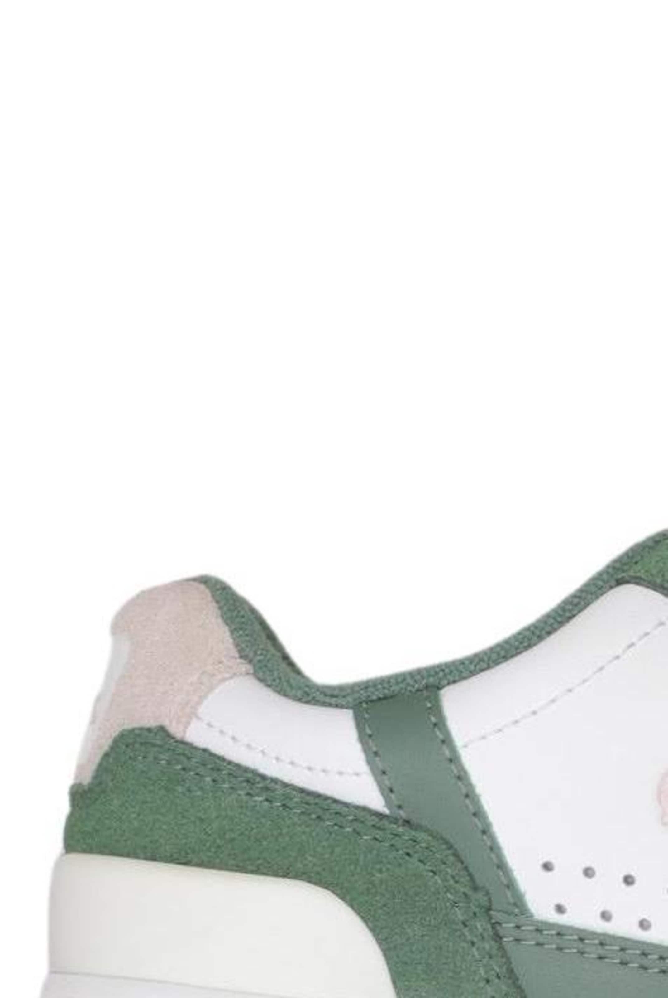 LACOSTE Sneakers & Trainers in 36 in Mixed colors