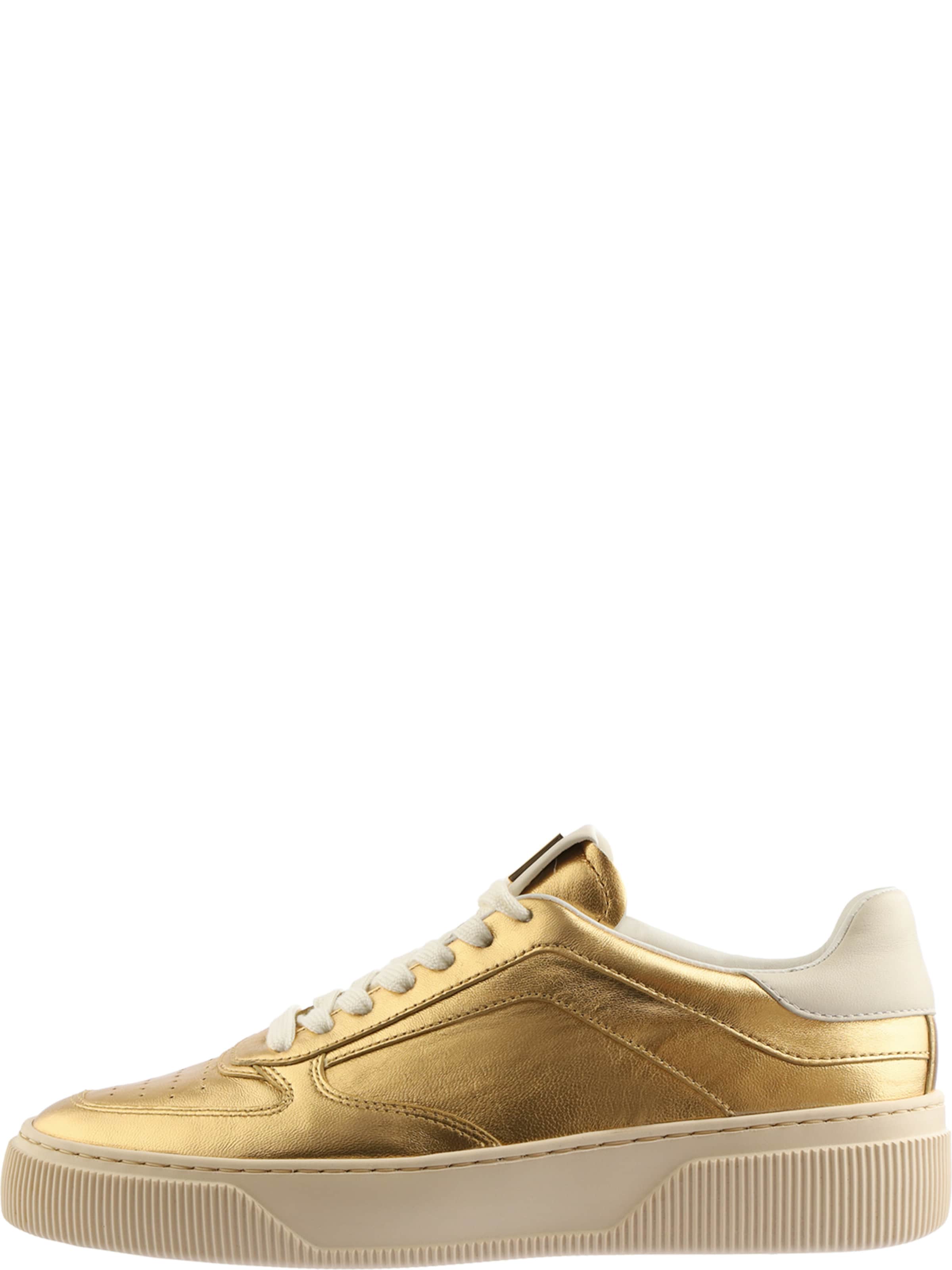 Högl Sneaker ' TERANCE ' in Bronze: Vorderseite