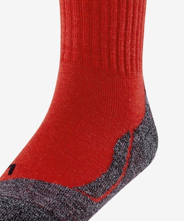 FALKE Спортни чорапи 'Active Warm' в червено