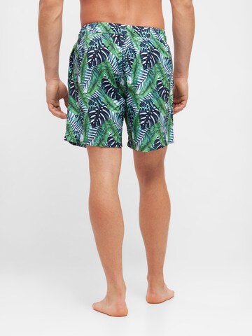 TOOche Swimming shorts 'Lugano' in Green