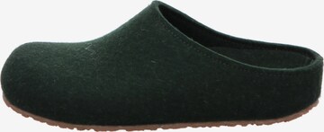 HAFLINGER Slippers in Green