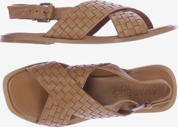 SHABBIES AMSTERDAM Sandals & High-Heeled Sandals in 39 in Brown: front