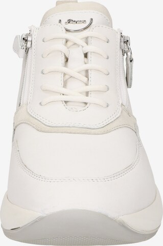 SIOUX Sneakers 'Segolia' in White