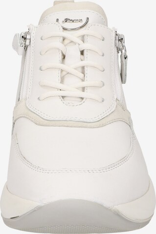 SIOUX Sneakers laag 'Segolia' in Wit