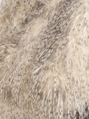 JIORO Winter Coat 'ESSENTIALS' in Beige