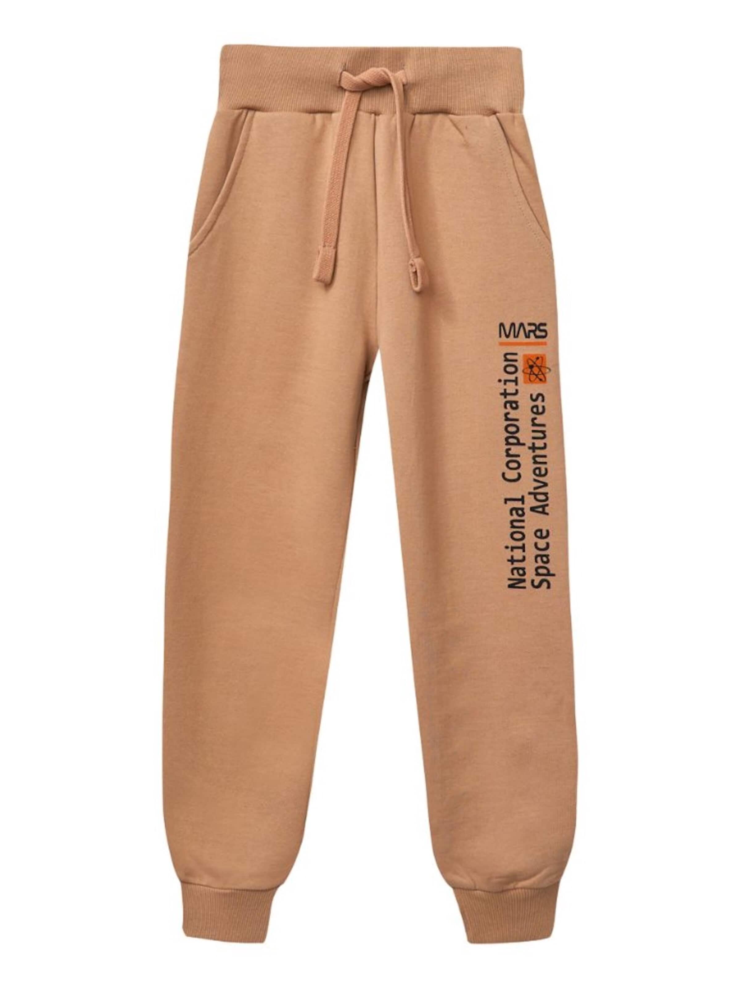 WINKIKI Regular Hose‌‌‌ in Beige: Vorderseite