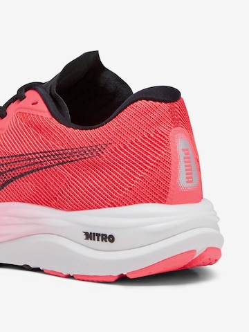 PUMA حذاء للركض 'Velocity Nitro 2' بلون أحمر