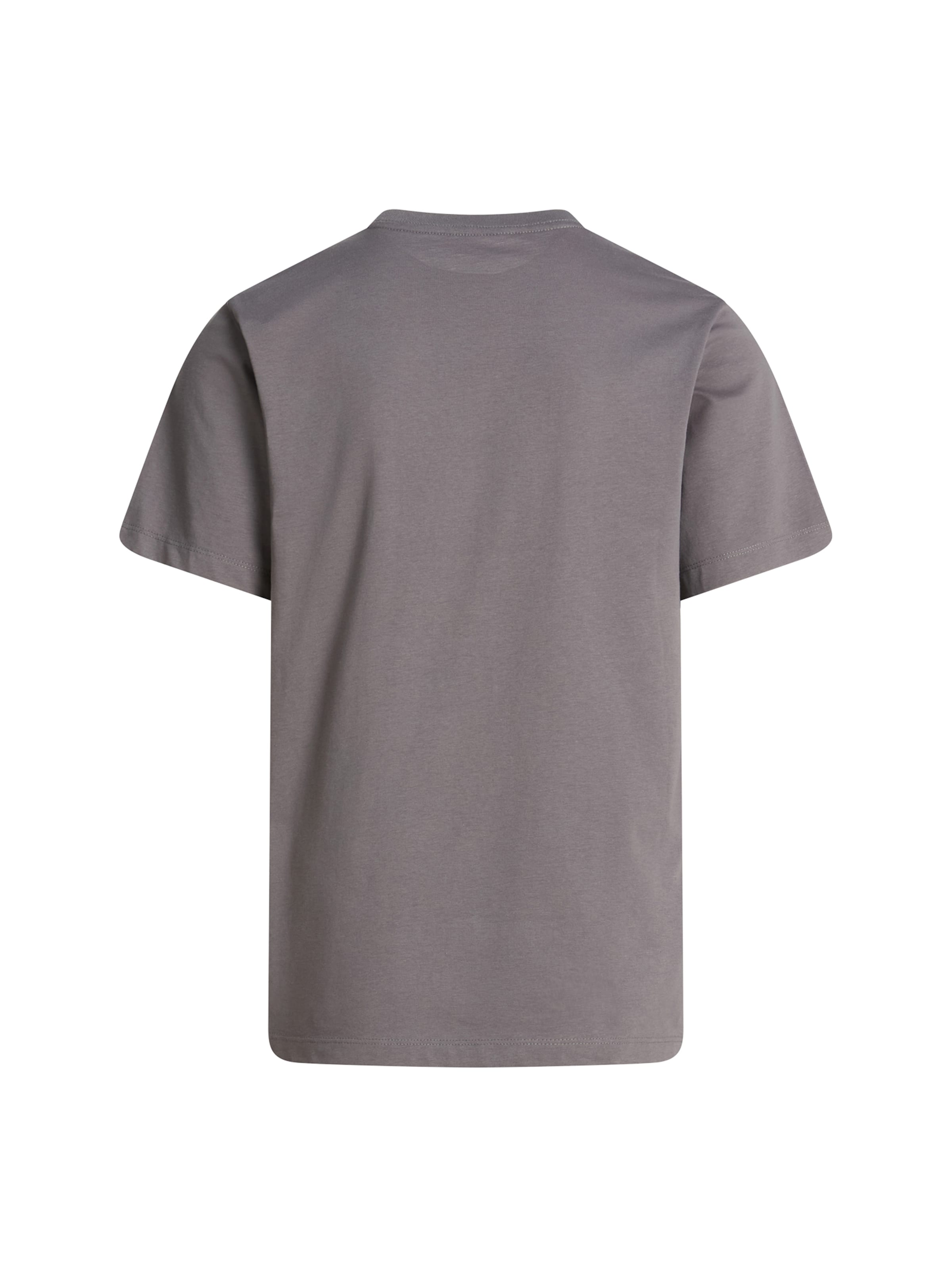 THE NORTH FACE T-Shirt 'Evolution Simple Dome' in Grau