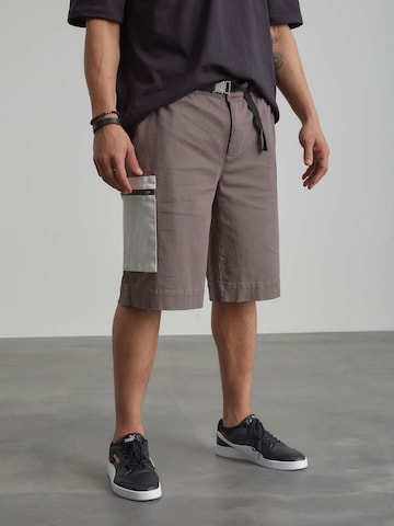 ABOUT YOU x Benny Cristo Regular Shorts 'Ron' in Grau: predná strana