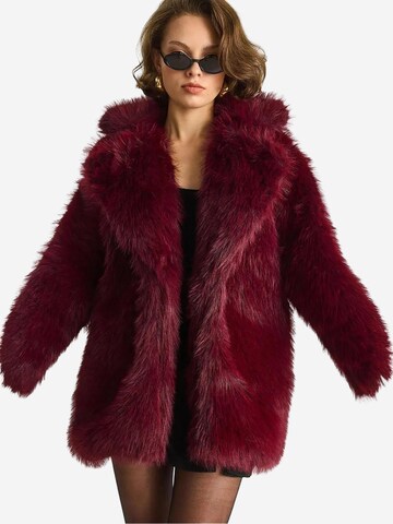 Bianco Lucci Wintermantel in Rood