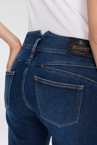 Herrlicher Bootcut Jeans in Blau
