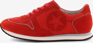 Kennel & Schmenger Sneakers ' TRAINER ' in Red: front