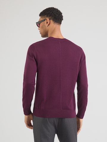 Calvin Klein Pullover in Lila: Rückseite