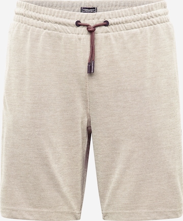Ragwear Regular Shorts in Braun: predná strana