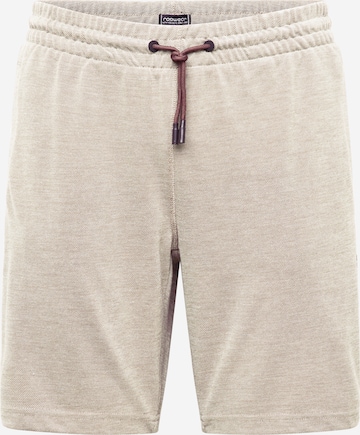 Regular Pantalon Ragwear en marron : devant