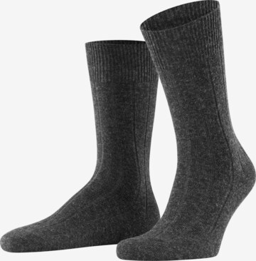 FALKE Socken 'Lhasa Rib' in Grau: Vorderseite
