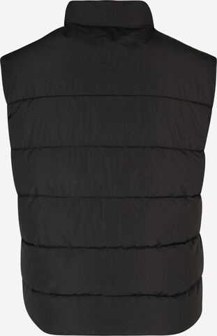 Only & Sons Big & Tall Vest in Black