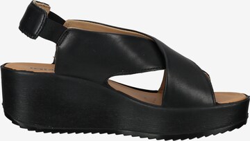 IGI&CO Sandals in Black