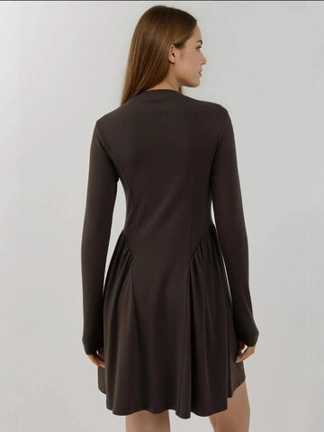 Hiccup Dress in Brown