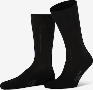 SCHIESSER Ponožky - Čierna