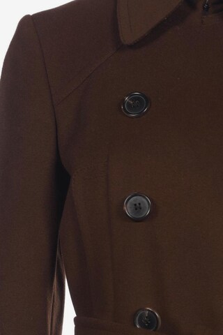 HUGO Jacket & Coat in S in Brown