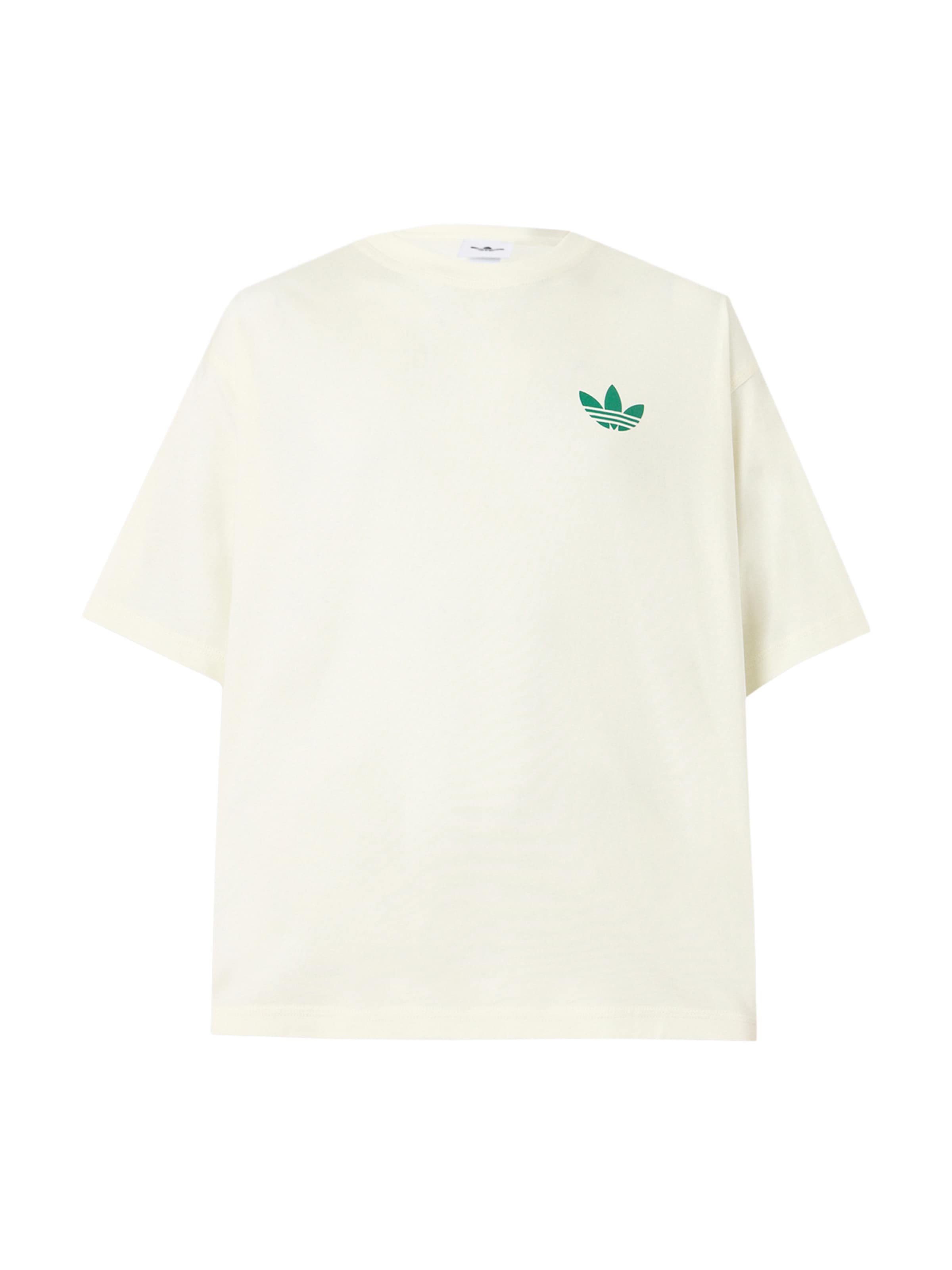 ADIDAS ORIGINALS Тениска 'MOUNTAIN' в къри / зелено / бял памук, Преглед на продукта