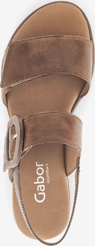 GABOR Sandals in Brown