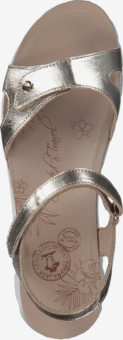 PANAMA JACK Sandals 'Sulia' in Gold