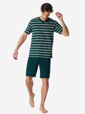 SCHIESSER Short Pajamas 'Casual Nightwear' in Green