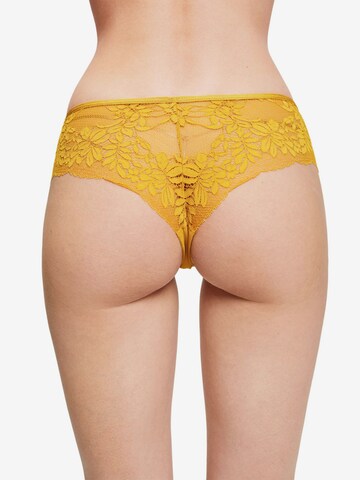 ESPRIT Panty in Gelb