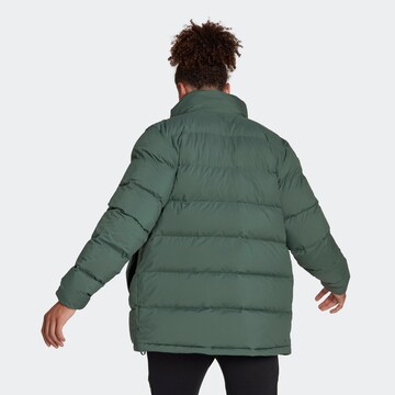 ADIDAS TERREX Outdoor jacket in Green