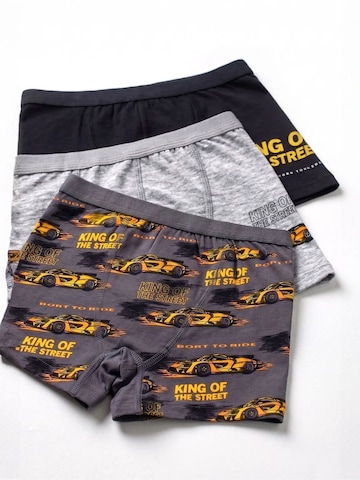 ÖTSGaće 'ÖTS Herren Boxerbriefs' - miks boja boja