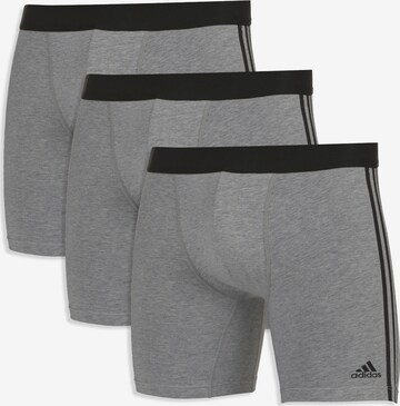 ADIDAS SPORTSWEAR Retro Pants ' BOXER BRIEF ' in Grau: predná strana