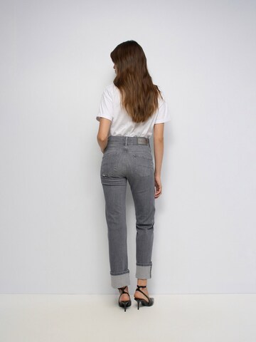 Salsa Jeans Skinny Jeans in Grey