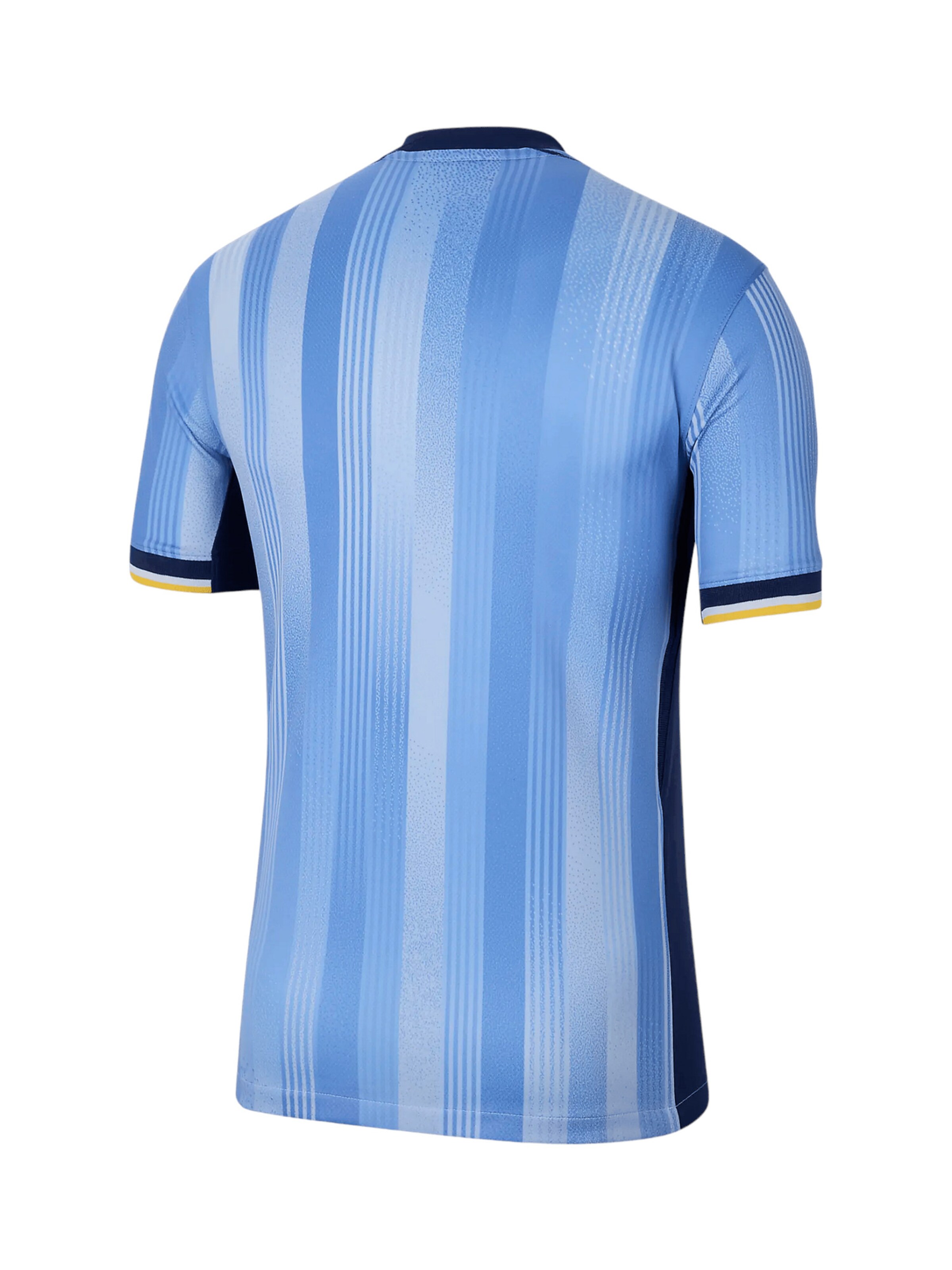 NIKE Funktionsshirt in Blau