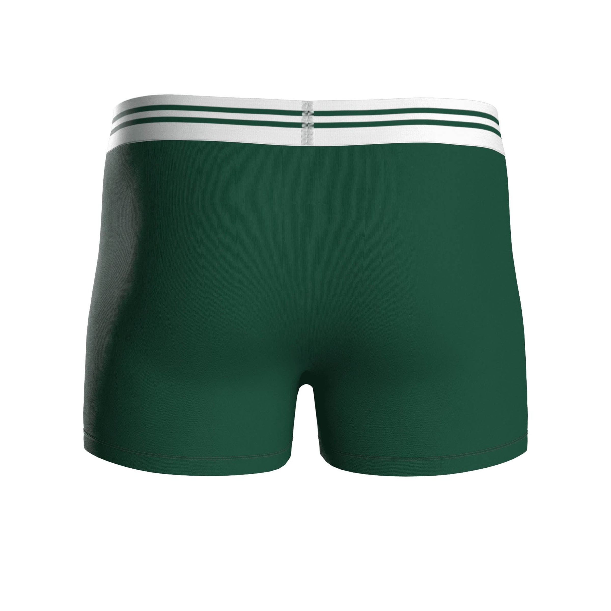 NFL Boxer shorts in Grey