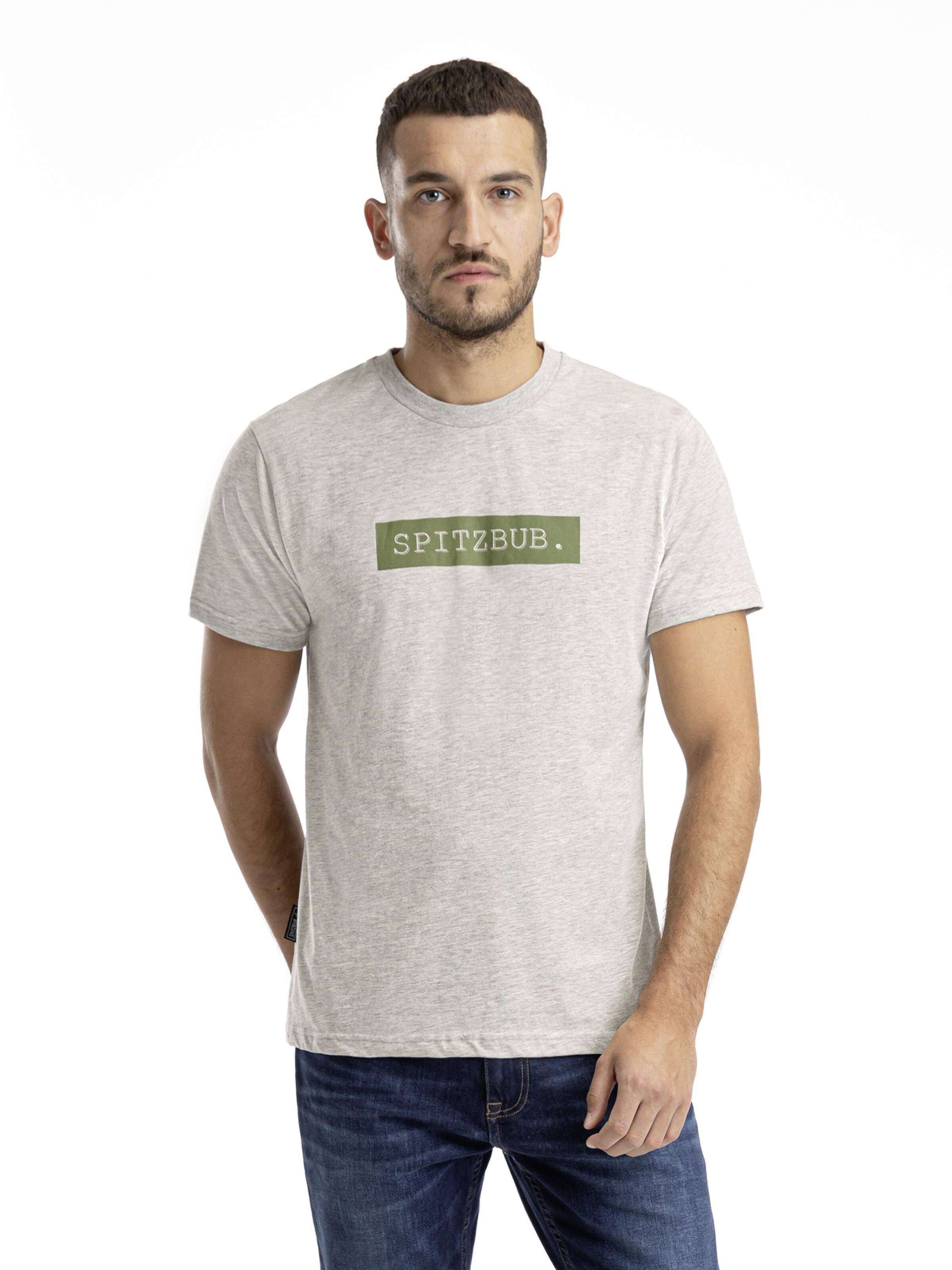 SPITZBUB Shirt 'Franz' in Grau: Vorderseite