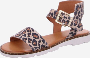 HASSIA Sandals in Mixed colors: front