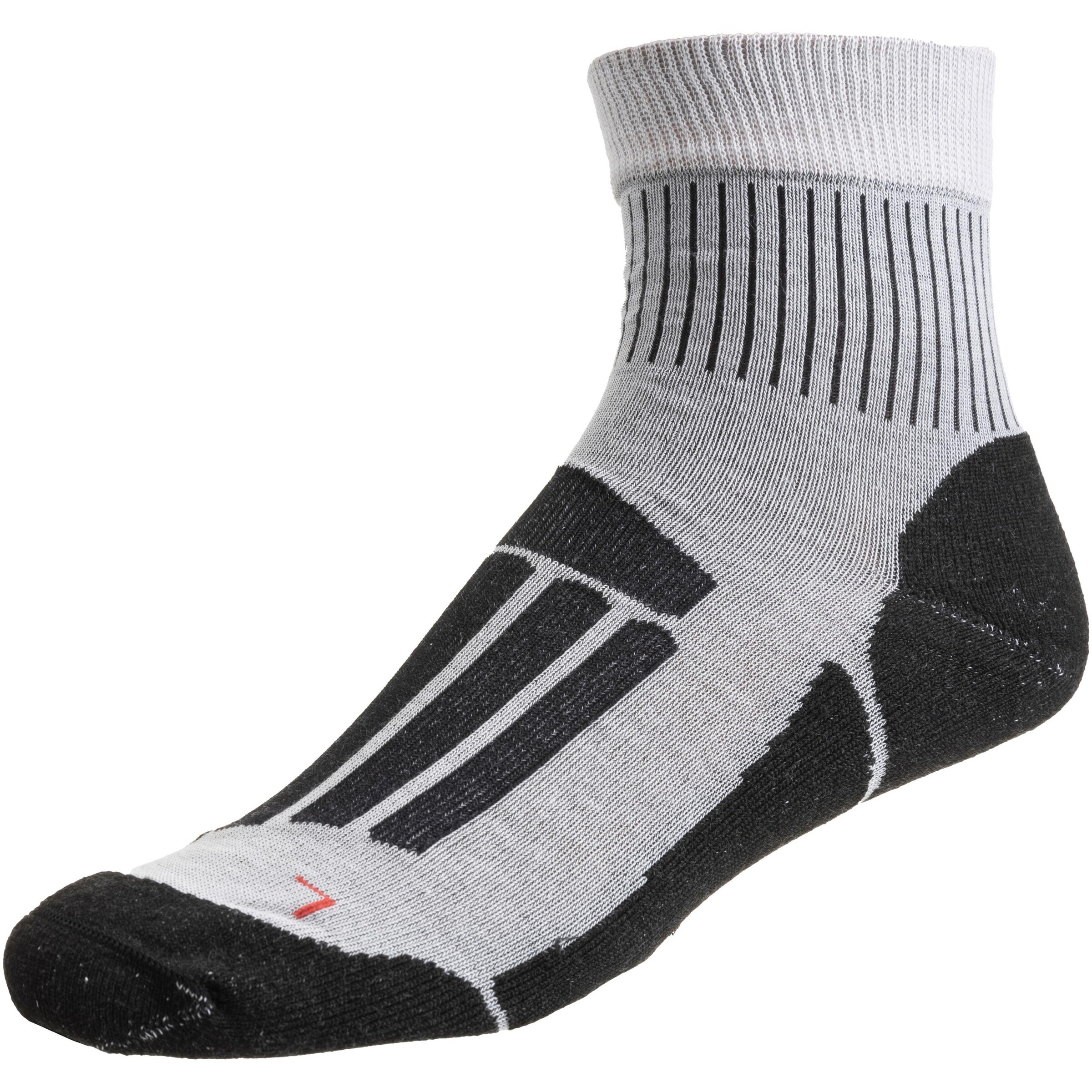 ROHNER Athletic Socks 'Trek'n Travel' in Grey: front