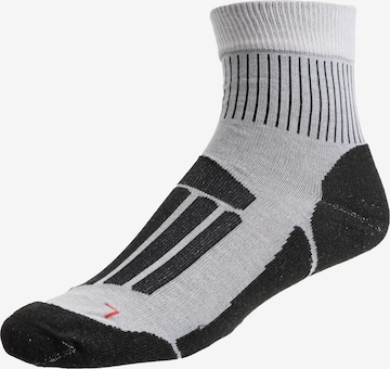 ROHNER Athletic Socks 'Trek'n Travel' in Grey: front