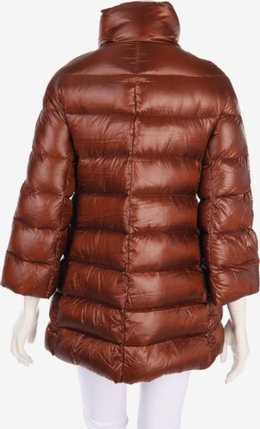 Annie P Jacket & Coat in L in Brown