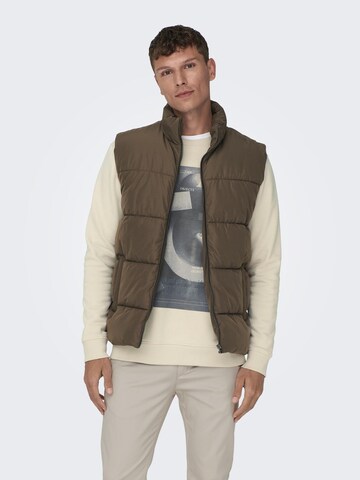 Only & Sons Bodywarmer 'Melvin' in Bruin