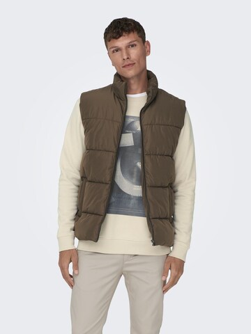 Only & Sons Vest 'Melvin' in Brown