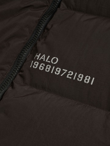 HALO Between-season jacket 'Maverick' in Brown