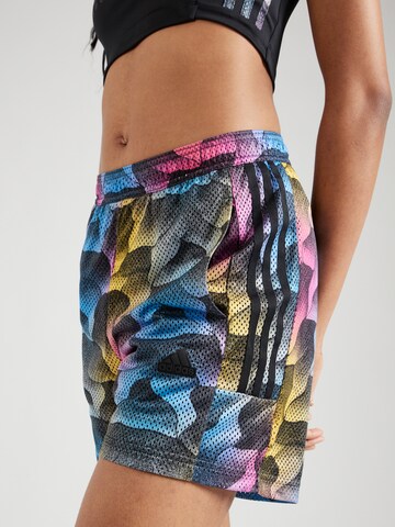 Regular Pantalon de sport 'Tiro Q2' ADIDAS SPORTSWEAR en mélange de couleurs