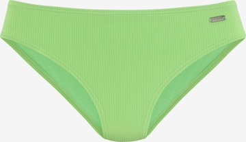 VENICE BEACH Bikini bottom in Green: front