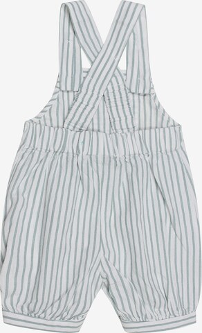 Bruuns Bazaar Kids Dungarees in Blue